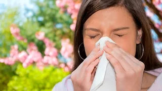 Алергичен ринит, Allergic rhinitis