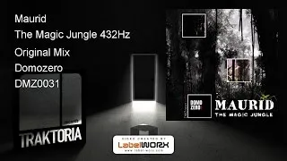 Maurid - The Magic Jungle 432Hz (Original Mix)