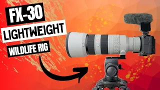 Super Lightweight Wildlife Video & Photography Rig. Sony FX-30 + 70-200mm GM ii + 2x Teleconverter