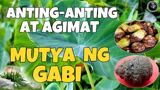 MUTYA NG GABI | AGIMAT AT ANTING-ANTING | Bhes Tv