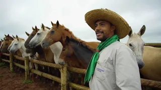 Dia a Dia na Fazenda