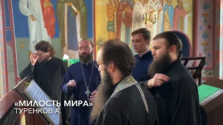 "Милость мира" Туренков А.