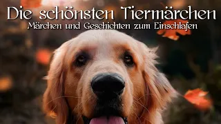 Die schönsten Tiergeschichten & Tiermärchen für Kinder & Erwachsene zum Träumen Entspannen | Hörbuch