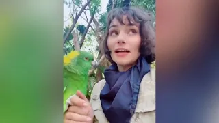 Parrot Talking   Smart And Funny Parrots Video #1