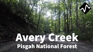 Mountain Biking Avery Creek | Pisgah National Forest