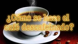 Como se hace el Café Descafeinado| Proceso