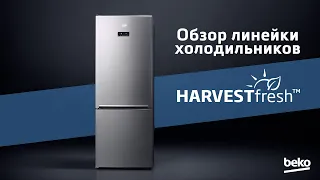 Обзор холодильников HARVESTfresh™ на примере RCNA406E35ZXB | Огляд холодильників HARVESTfresh™