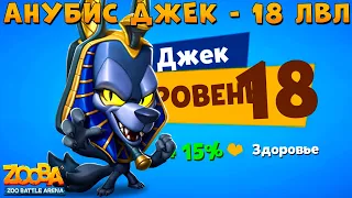 LEVEL 18 - ANUBIS WOLF JACK - ZOOBA