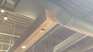 16’ barn beam with pot lights