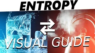 The Physics of Entropy