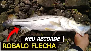 PESCARIA DE ROBALO FLECHA E XARÉU OLHUDO NAS PEDRAS EM FLORIANOPOLIS -  Recorde de Robalo Flecha!