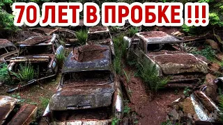 Эти автомобили на 70 лет застряли в пробке в лесу! Самые большие кладбища брошенной техники