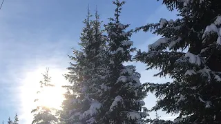 Smuiko ir violončelės skyrių kalėdinis koncertas