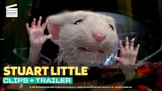 Stuart Little Best Moments & Trailer (HD)