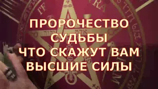 🍀️ПРОРОЧЕСТВО СУДЬБЫ 🎯 ЧТО СКАЖУТ ВАМ ВЫСШИЕ СИЛЫ Таротерапия знаки шанс #tarot#gadanie#таросегодня