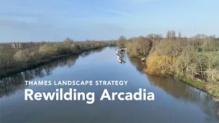 REWILDING ARCADIA