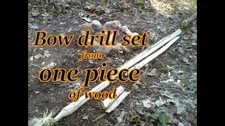 Bow Drill  Friction Fire from One small Spruce Tree