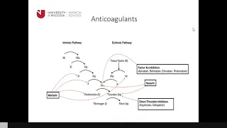 Stroke & Atrial Fibrillation: On the Delicate Matter of Introducing & Re-Introducing Anticoagulation