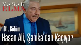 Hasan Ali, Şahika'dan kaçıyor - Yasak Elma 101. Bölüm