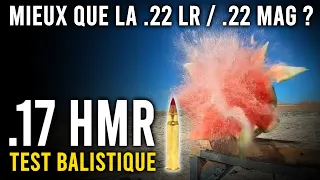 PETITS CALIBRES : que vaut le .17 HMR ? (Catégorie C)