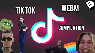 ПОДБОРКА ЛУЧШИХ МЕМОВ ИЗ ТИКТОК // TIKTOK WEBM COMPILATION 88