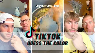 MMMJOEMELE TIKTOK COMPILATION- Guess The Color Compilation!