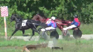 30 08 2023 2 заезд Групповой, Новосибирский ипподром