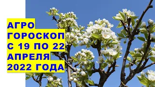 Агрогороскоп с 19 по 22 апреля 2022 года