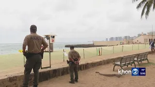 Closing Kaimana Beach to protect monk seal, pup