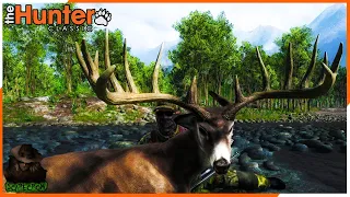 COULD THIS BE A 200?!? THE BIGGEST WHITETAIL I HAVE EVER SEEN! theHunter Classic
