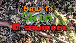 How To Skin A Squirrel. Shirt And Pants Method.