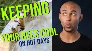 Keeping Your Bees Cool During The Summer Heat