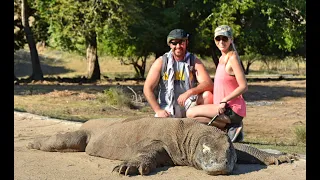 RINCA ISLAND with KOMODO DRAGONS, INDONESIA - Комодские Вараны Драконы на острове Ринка, Индонезия