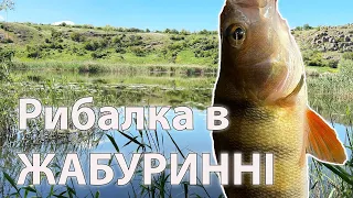 Рибалка в ЖАБУРИННІ спінінг мікроджиг ловля окуня на ультралайт