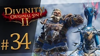 Divinity: Original Sin 2  #34 - Complete Set of Braccus