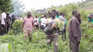 Restoration of Mabira forest cover– NFA partners with ERA to cover 15 acres