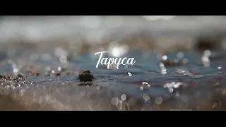 Таруса - Долина грёз. Пеший поход.