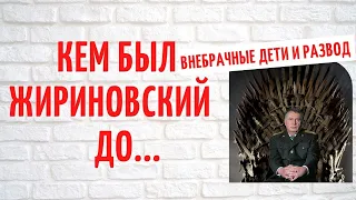 Кем был Владимир Жириновский до того, как стал политическим деятелем?