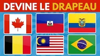 Identifiez les Pays à travers leurs Drapeaux 🌍🎯🤔 Niveaux Facile, Moyen, Difficile, Impossible 🚩