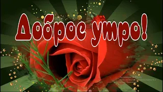 Доброе утро! Желаю бодрости с утра! Доброе утречко пожелания! Хорошего дня!