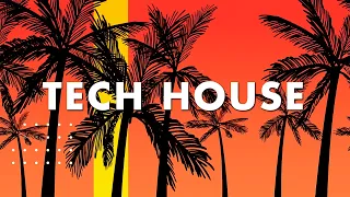 Tech House Mix 2024 | Stampi Mashups & Remixes of Popular Songs