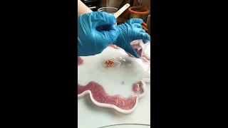 Pouring time lapse of my first flower bowl using resin