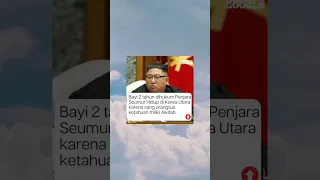 Bayi 2 Tahun Dihukum Penjara Seumur Hidup di Korea Utara Karena Sang Ortu Ketahuan Miliki Alkitab