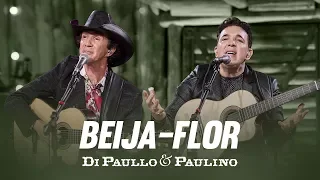 Di Paullo & Paulino - Beija-Flor "DVD Nós e Elas"