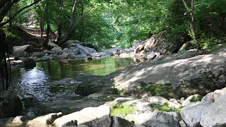 ASMR-Travel to Nature (2)- Relax & relieve stress -smooth & birds singing