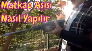 Matkap İle Aşı Yapma (Dut Ağacı Uygulaması)