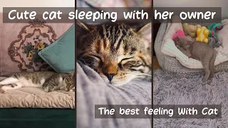 The best feeling in the world! 😍 Cute cat sleeping with her owner 2022