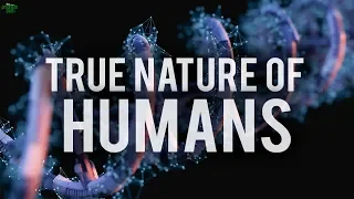 THE TRUE NATURE OF HUMANS (MUST WATCH)