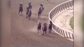 Andy and the Mig - 1989 Belmont Stakes