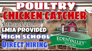 JOB HIRING | POULTRY FARM | LMIA PROVIDED | INSIDE AND OUTSIDE CANADA || JV VLOGS